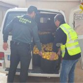 Agentes de la Guardia Civil de Alicante junto a parte de los limones robados