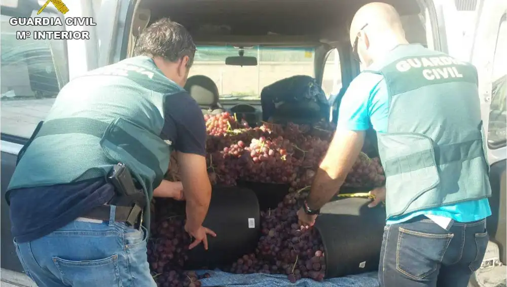 Parte de la uva recuperada por la Guardia Civil de Alicante