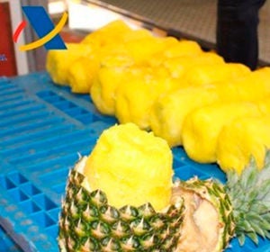 Cocaína oculta en piñas Cocaína oculta en piñas