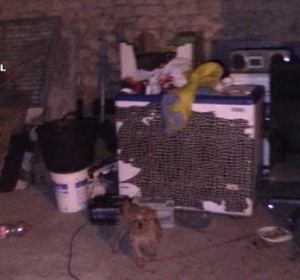 Operación de la Guardia Civil contra la trata de seres humanos. Operación de la Guardia Civil contra la trata de seres humanos.