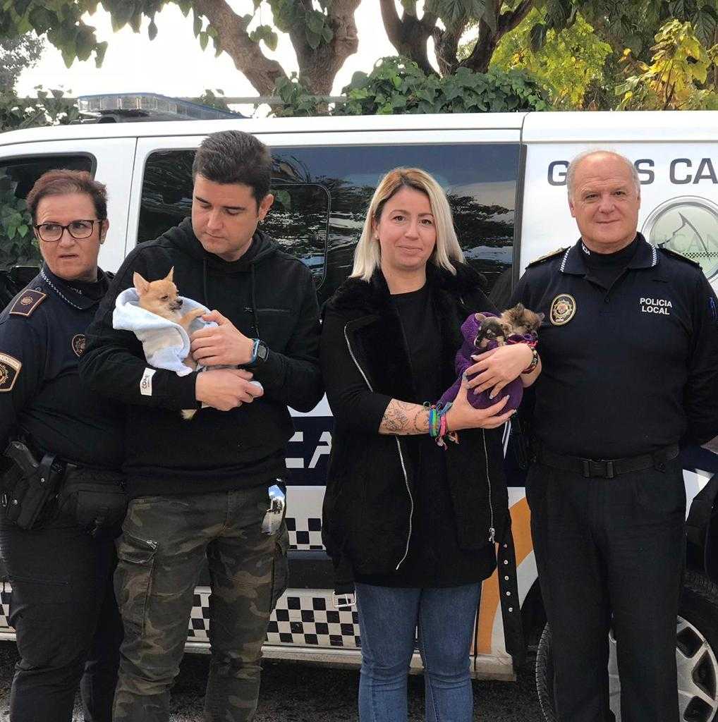 56 perros, 3 cactúas, 2 tortugas y un gato en condiciones de insalubridad y maltrato animal en Ciudad de Asís 56 perros, 3 cactúas, 2 tortugas y un gato en condiciones de insalubridad y maltrato animal en Ciudad de Asís
