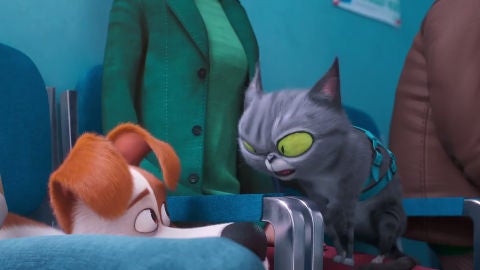 'Mascotas 2'