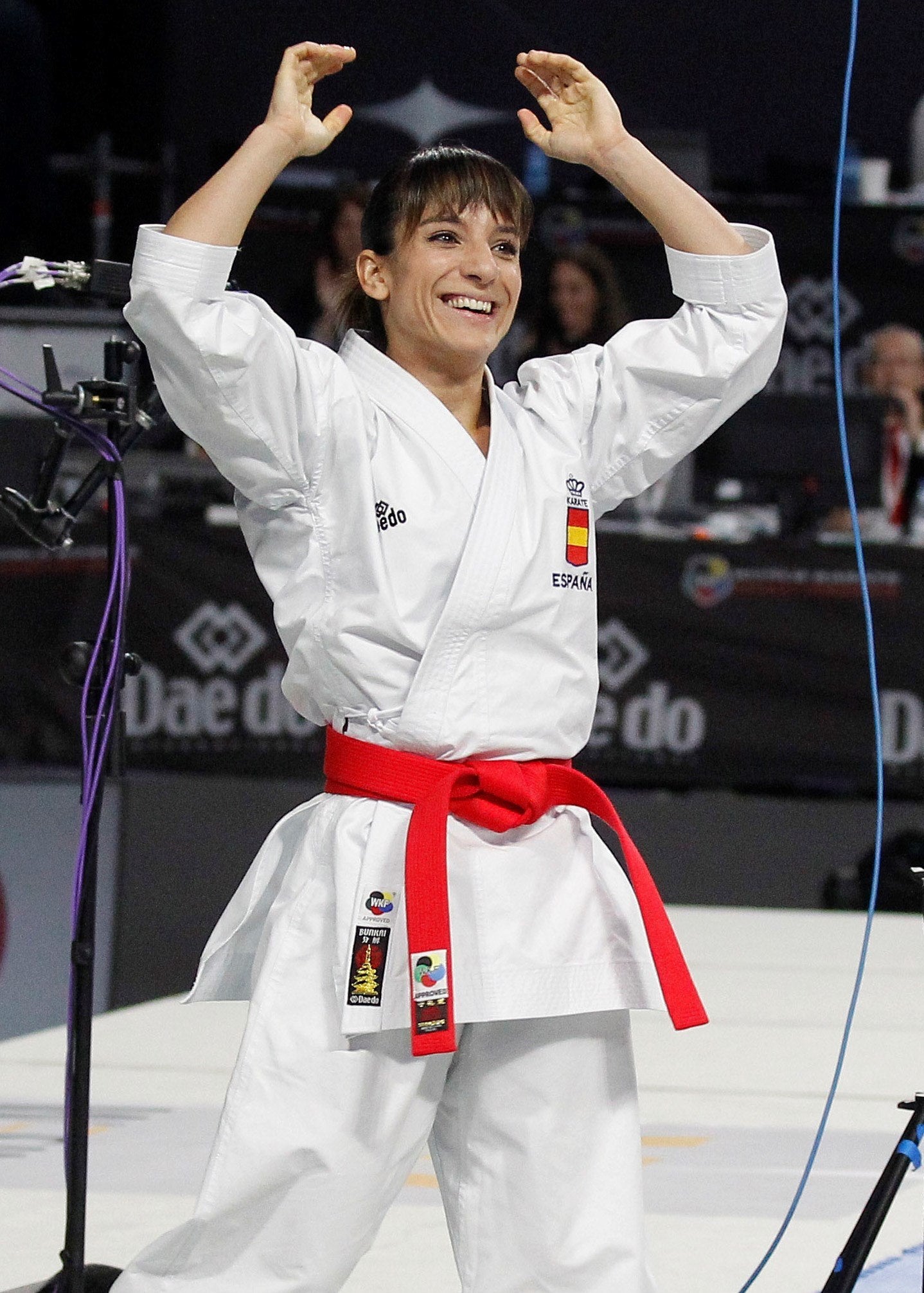 Sandra Sánchez conquista la medalla de oro en la modalidad de kata del Campeonato del Mundo de karate Sandra Sánchez conquista la medalla de oro en la modalidad de kata del Campeonato del Mundo de karate