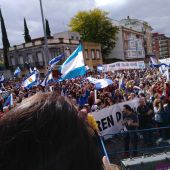manifestacion talavera