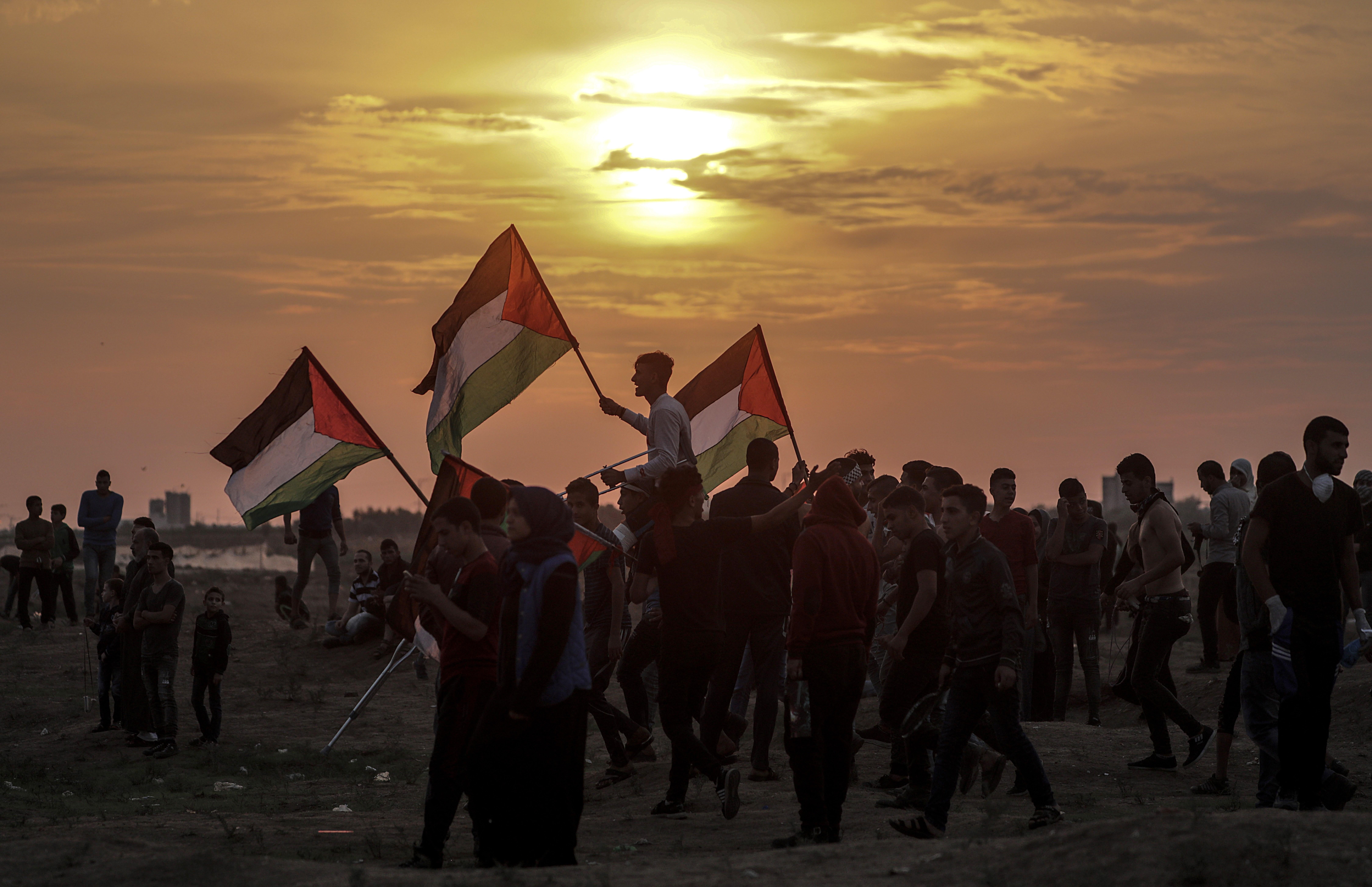 Las tres diócesis extremeñas piden que pare el sufrimiento en Gaza Las tres diócesis extremeñas piden que pare el sufrimiento en Gaza