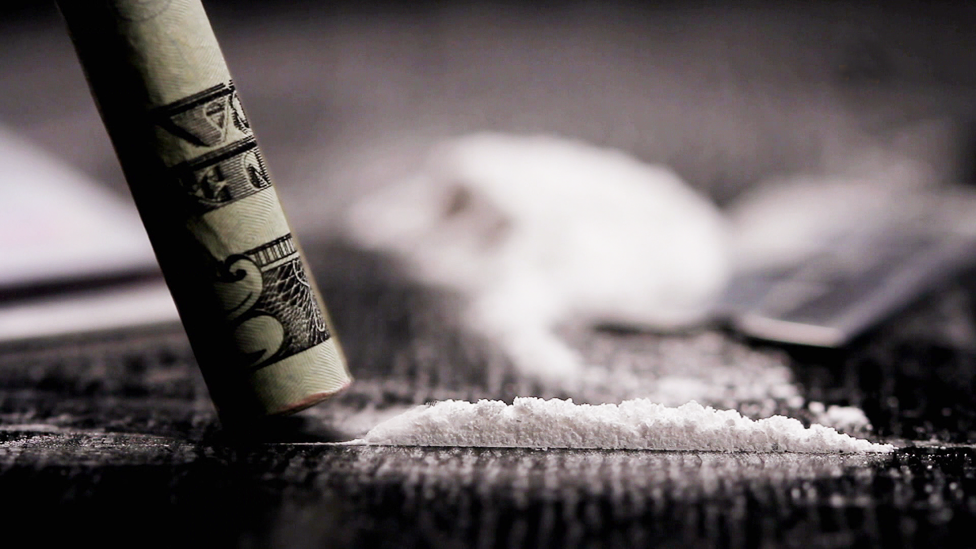 El círculo secreto: DMT, la sustancia de Dios El círculo secreto: DMT, la sustancia de Dios