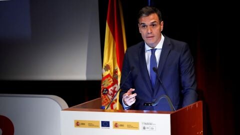 Pedro S&aacute;nchez
