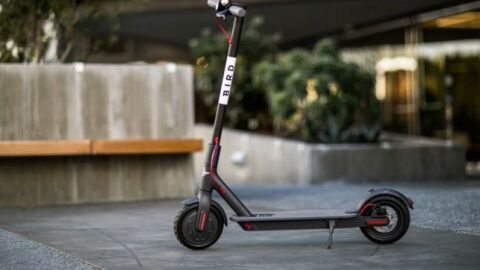 bird patinete_643x397