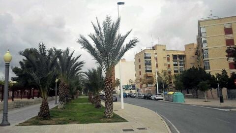 Avenida de las Cortes Valencianas de Elche