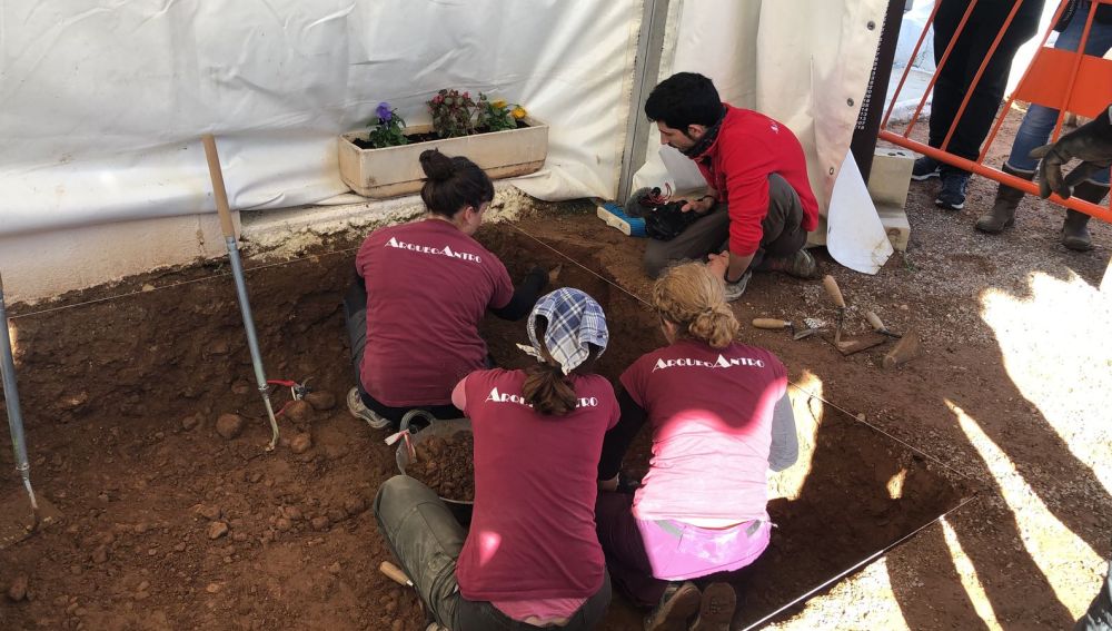 El equipo de arqueólogos trabajan en la fosa común del cementerio San José de Castellón.
