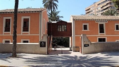 Museo del Palmeral en el Huerto de San Pl&aacute;cido de Elche