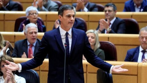 Pedro S&aacute;nchez