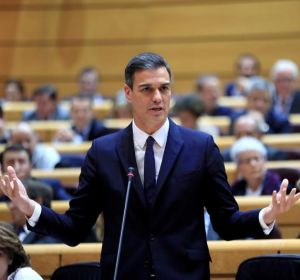 El presidente del Gobierno, Pedro Sánchez, en el Senado El presidente del Gobierno, Pedro Sánchez, en el Senado
