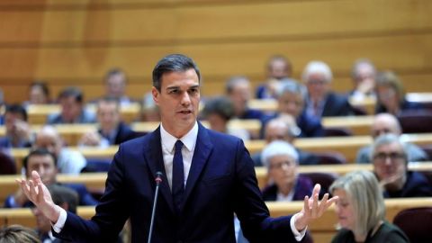 El presidente del Gobierno, Pedro S&aacute;nchez