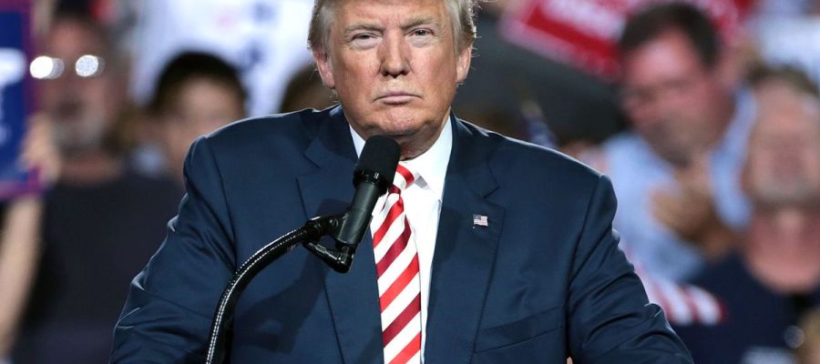 Los bots llenaron Twitter de mentiras en las elecciones que gano Donald Trump Los bots llenaron Twitter de mentiras en las elecciones que gano Donald Trump