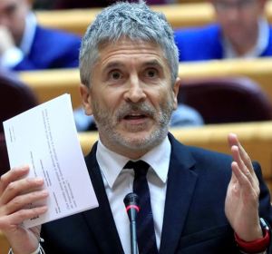 El ministro del Interior, Fernando Grande-Marlaska, en el Senado El ministro del Interior, Fernando Grande-Marlaska, en el Senado