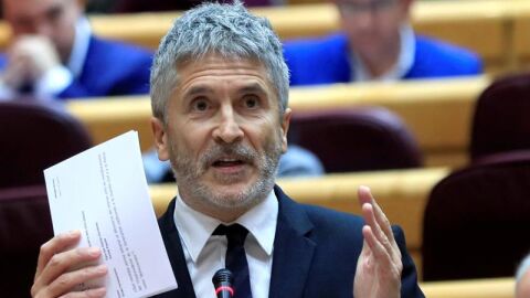 El ministro del Interior, Fernando Grande-Marlaska, en el Senado