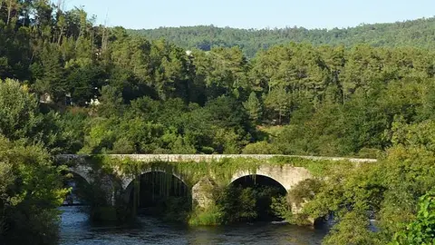 Novembro "Mes do Deza" imos ata Vila de Cruces Gente Viajera de Galicia