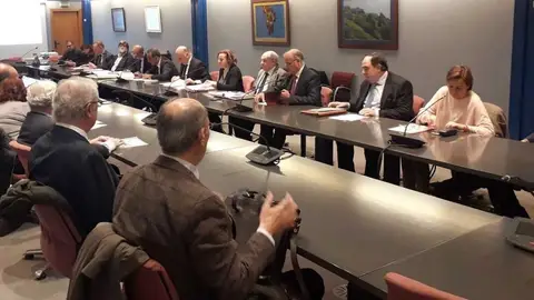 Reunión del pleno de la CUOTA Visto bueno al PGO de Gijón