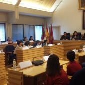 Pleno Escolar Municipal del Ayuntamiento de Ciudad Real