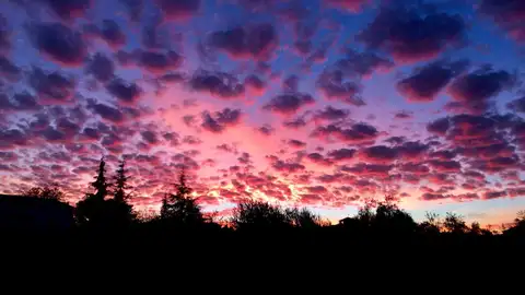 Joaquín Sánchez, Granada Joaquín Sánchez, Granada