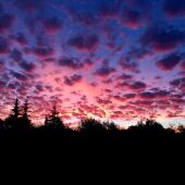 Joaquín Sánchez, Granada