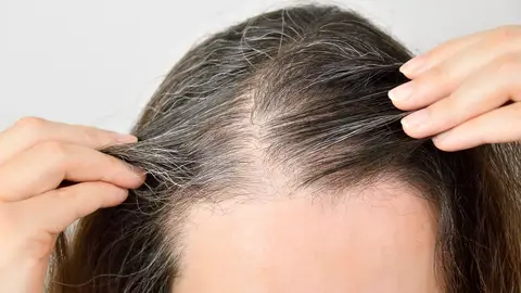 Canas Canas
