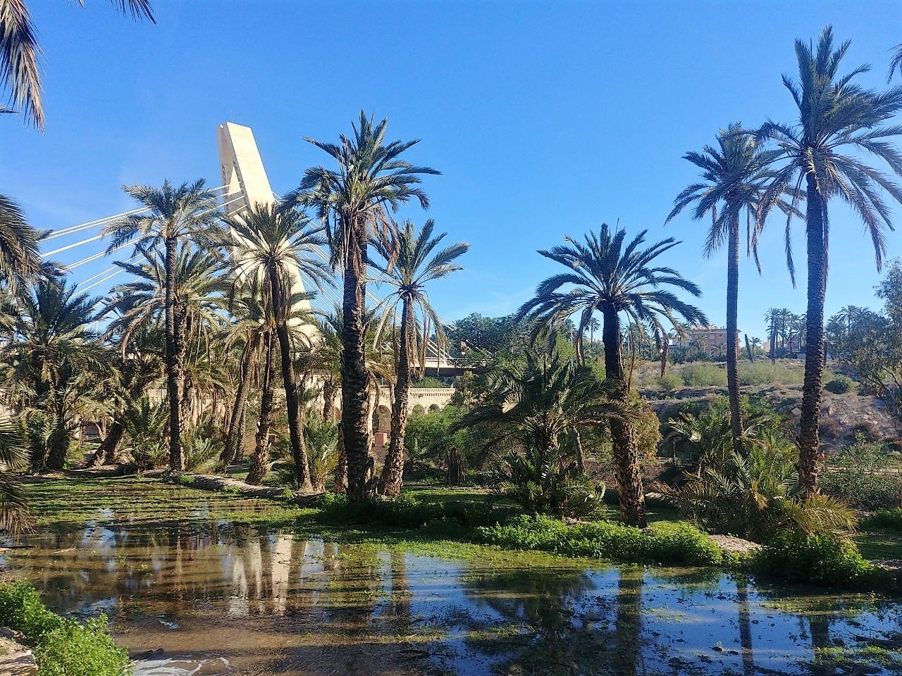 Elche comienza a regar con agua de la depuradora de Algorós los huertos Contador y Bon Lladre Elche comienza a regar con agua de la depuradora de Algorós los huertos Contador y Bon Lladre