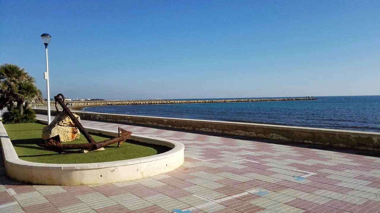 Los primeros días de febrero llegan a Elche, Santa Pola y Crevillent con sol y temperaturas sin cambios Los primeros días de febrero llegan a Elche, Santa Pola y Crevillent con sol y temperaturas sin cambios