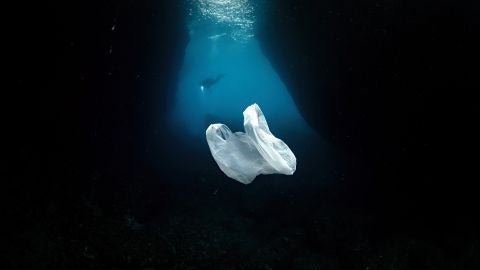 Una bolsa de pl&aacute;stico flotando alrededor de unos buceadores