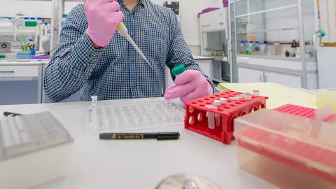 El científico usará la herramienta de edición genética CRISPR El científico usará la herramienta de edición genética CRISPR