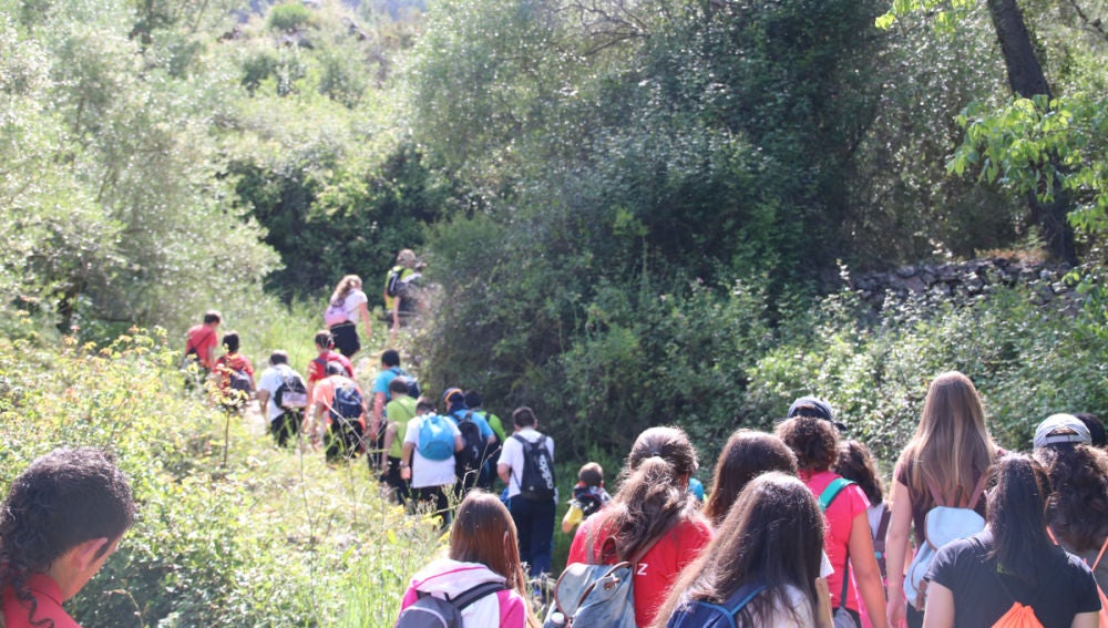 'Mar i Muntanya' descubre el patrimonio natural castellonense a más de 4.100 estudiantes.