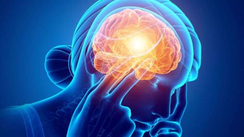 Recreaci&oacute;n de la acci&oacute;n de la ameba 'comecerebros'