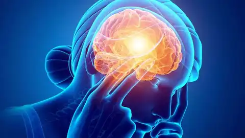 Recreación de la acción de la ameba 'comecerebros' Recreación de la acción de la ameba 'comecerebros'