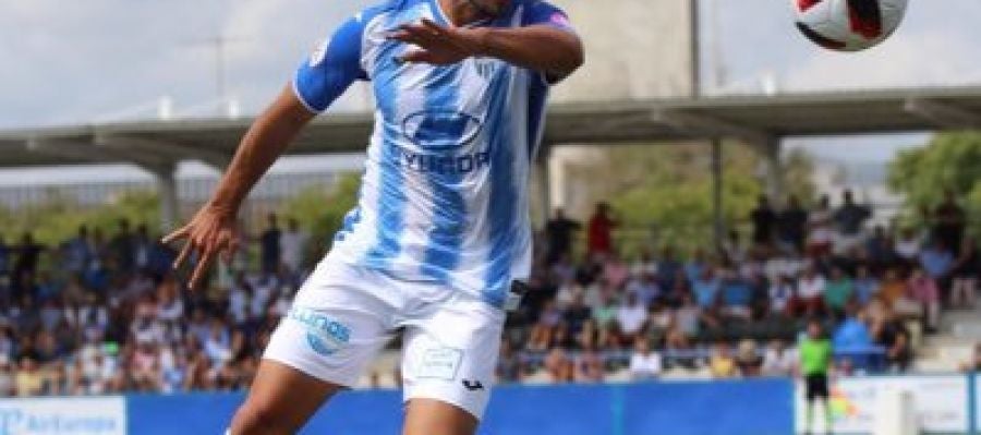 Canario Canario