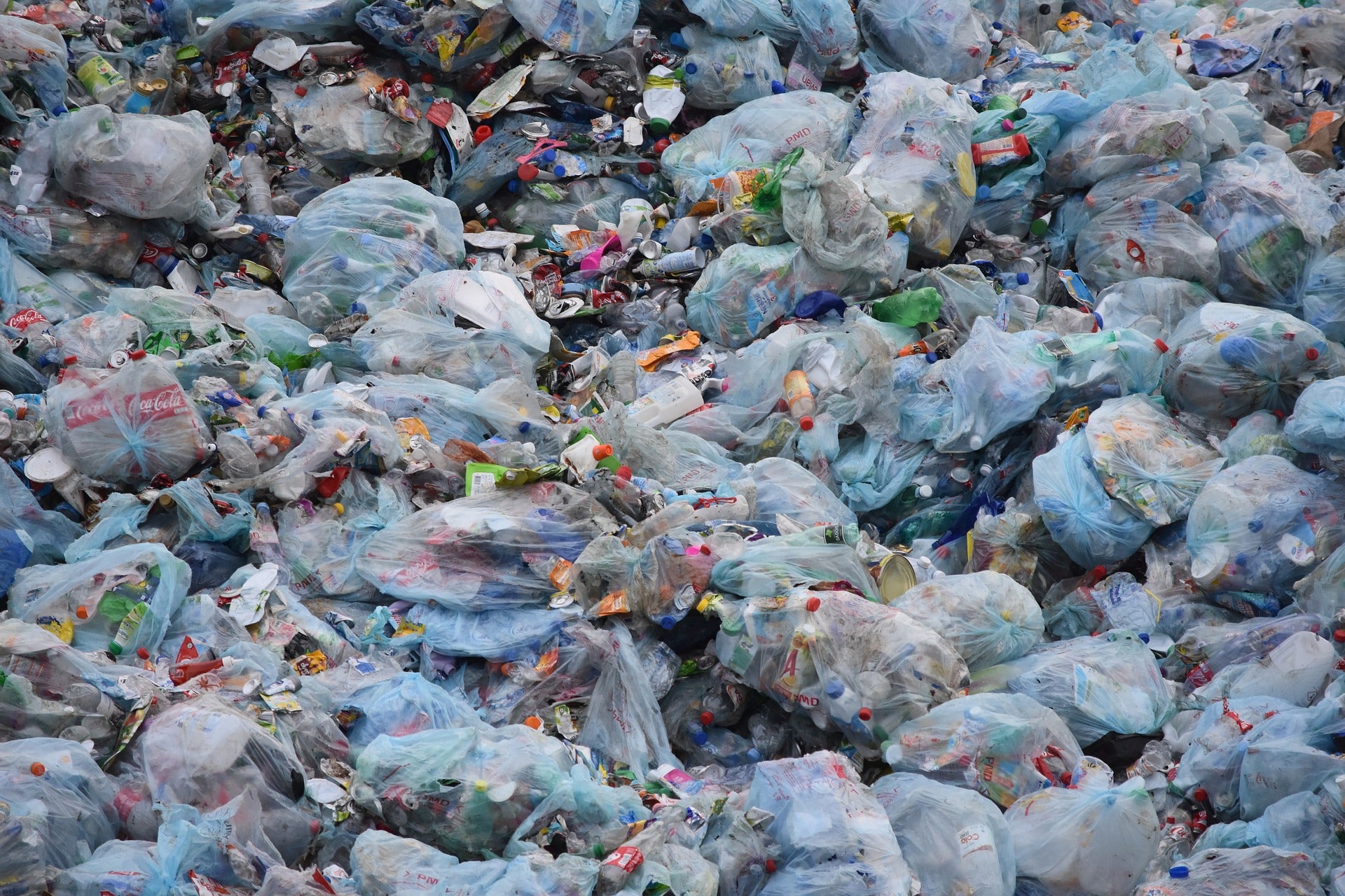 Greenpeace denuncia que el reciclaje no acaba donde debería Greenpeace denuncia que el reciclaje no acaba donde debería