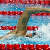 Campeonato mundial de natación (11-12-18)