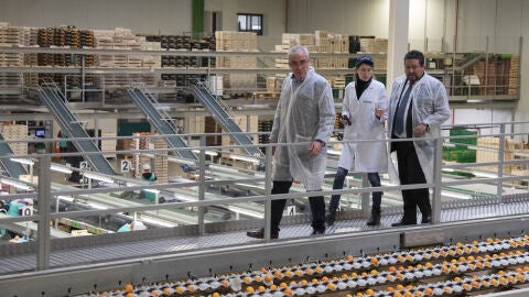 La Diputaci&oacute;n mostrar&aacute; su respaldo al sector citr&iacute;cola.