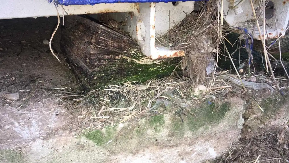 Estado que presenta uno de los tacos de madera sobre los que se asientan los barracones en el colegio La Paz de Torrellano Estado que presenta uno de los tacos de madera sobre los que se asientan los barracones en el colegio La Paz de Torrellano
