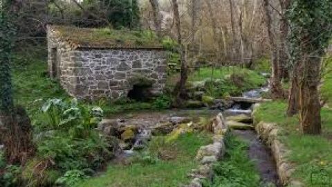 Ruta dos mui&ntilde;os Lobios