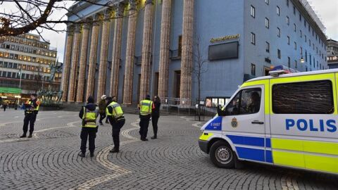 Polic&iacute;a Sueca