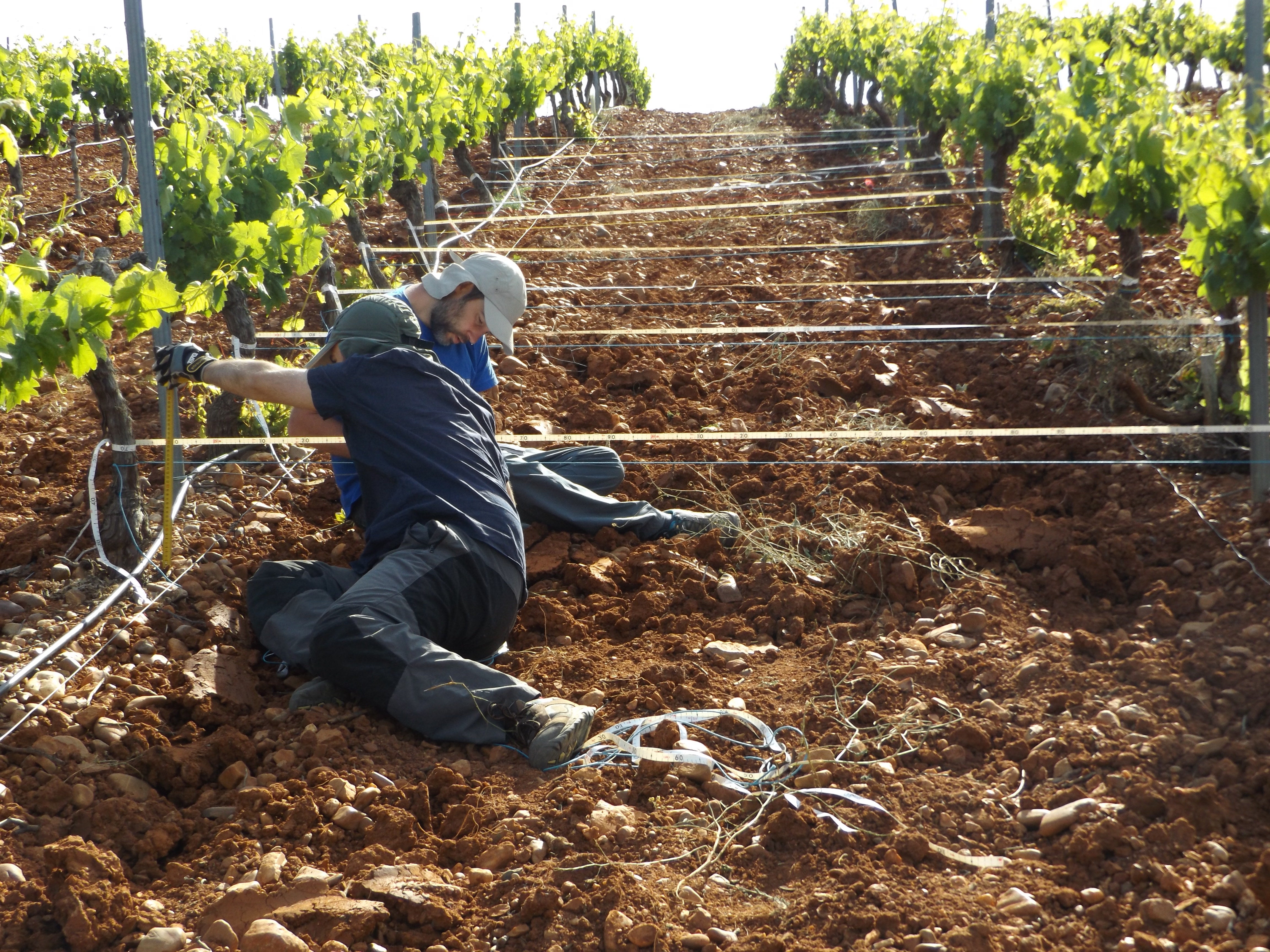 AVA-Asaja reclama a la administración medidas suficientes para paliar las consecuencias de la falta de lluvias AVA-Asaja reclama a la administración medidas suficientes para paliar las consecuencias de la falta de lluvias