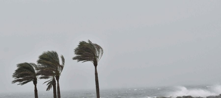Temporal en playa Temporal en playa