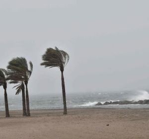 Temporal en playa Temporal en playa