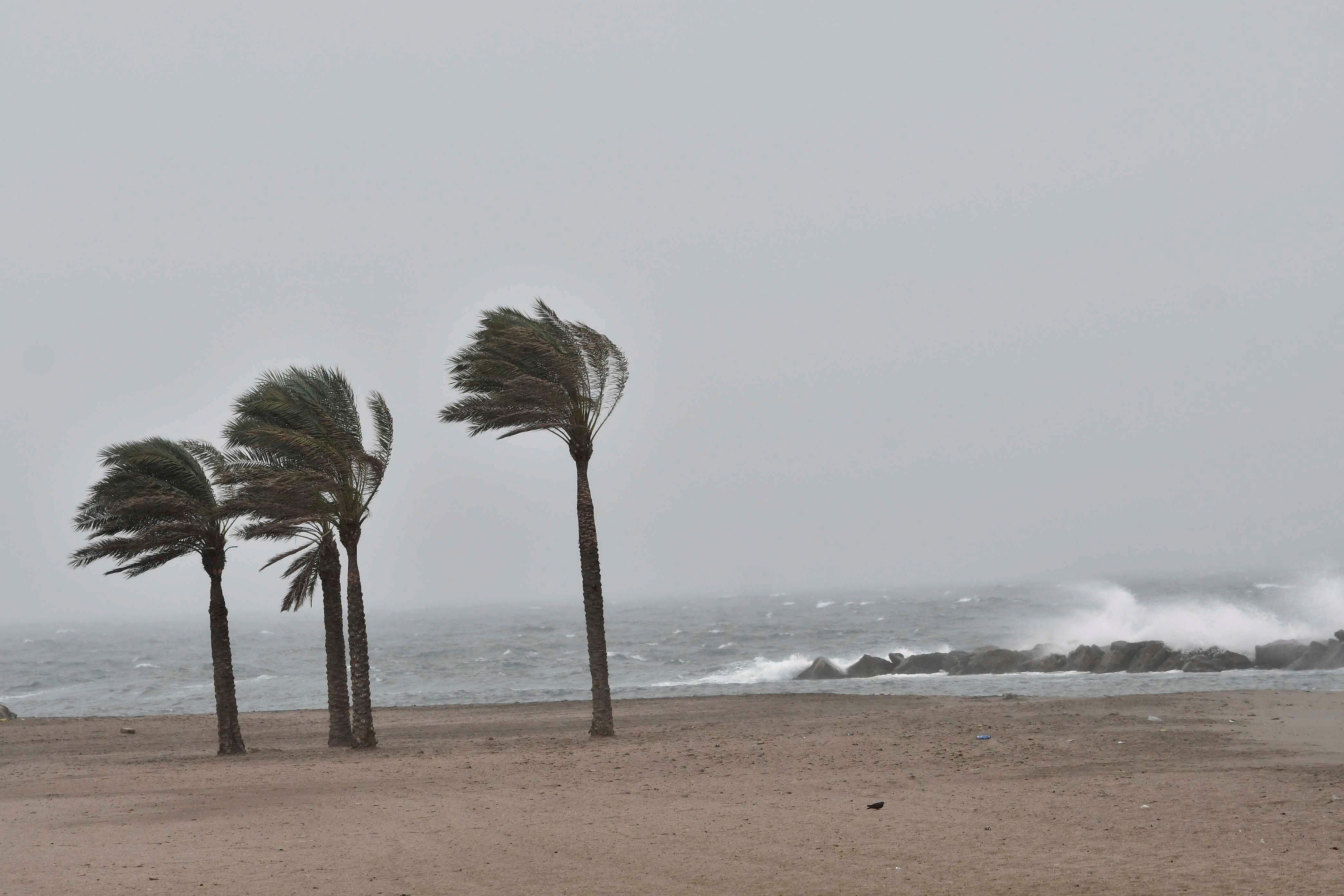 Las gota fría deja casi 50 litros por metro cuadrado en algunas localidades castellonenses como Onda, Lucena o Fanzara Las gota fría deja casi 50 litros por metro cuadrado en algunas localidades castellonenses como Onda, Lucena o Fanzara