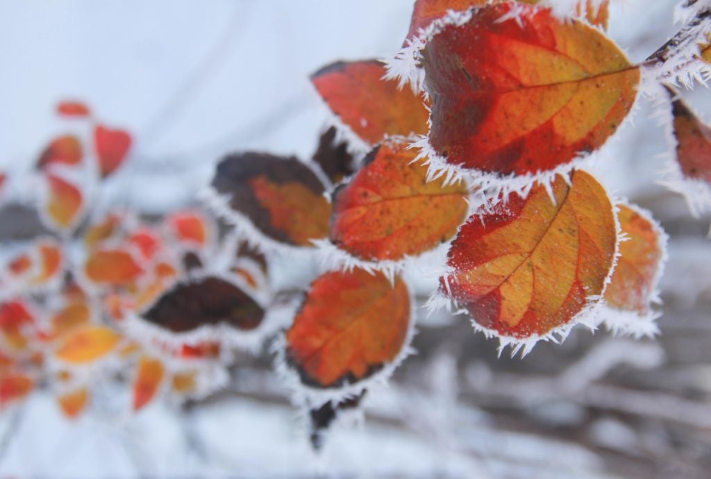 Una masa de aire polar desplomará las temperaturas a partir de este miércoles Una masa de aire polar desplomará las temperaturas a partir de este miércoles