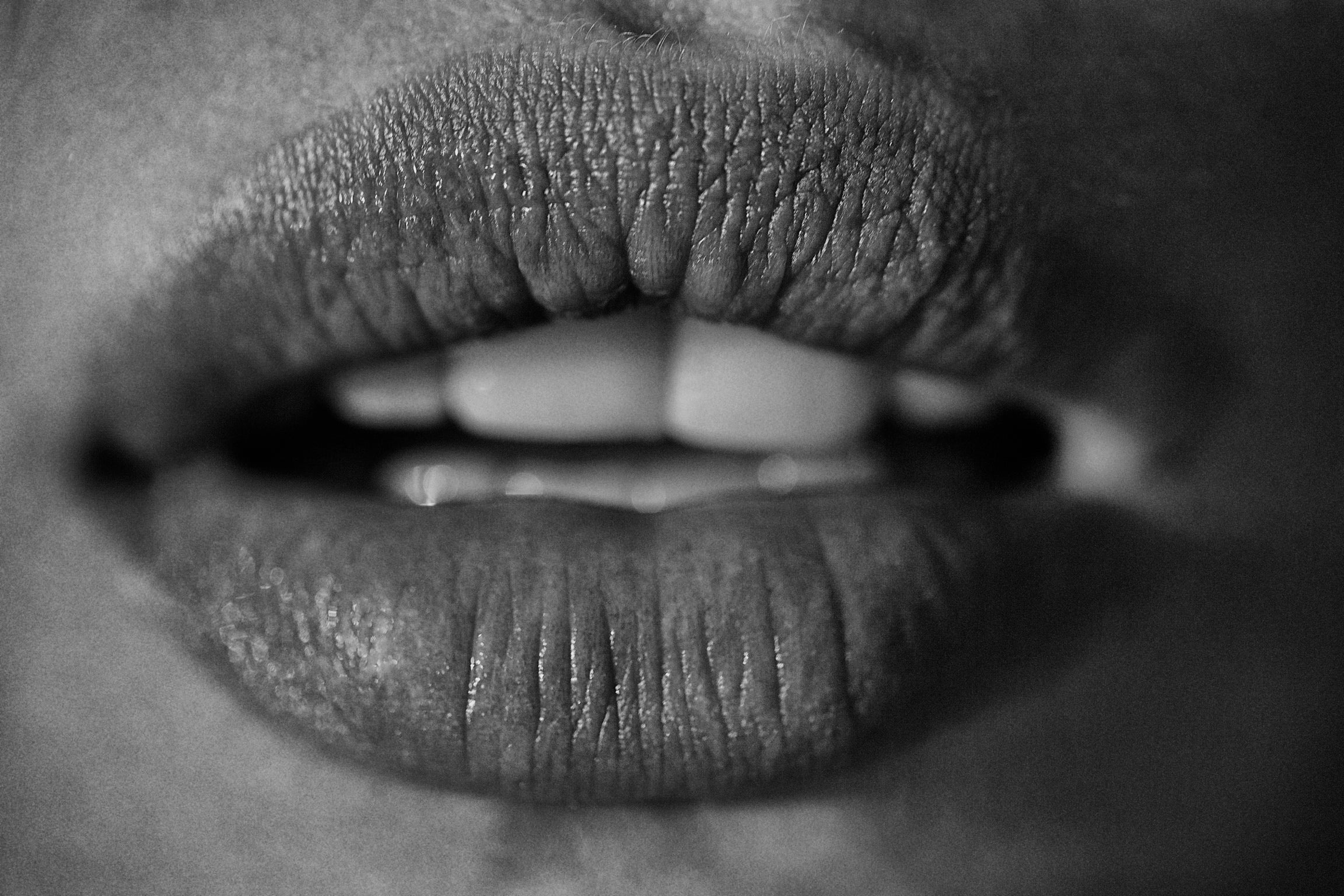 Vol. 182 "Erotismo" Vol. 182 "Erotismo"