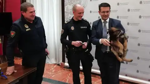 Stan Lee, nuevo policía local Stan Lee, nuevo policía local