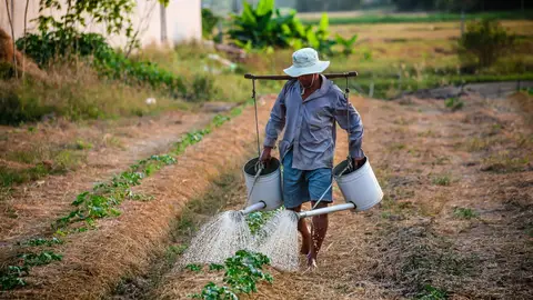 Agricultor Agricultor