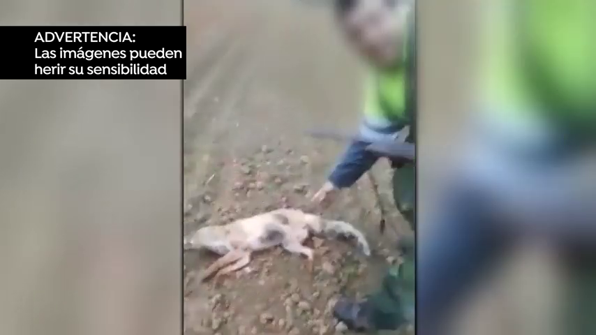 Carlos Rodríguez sobre la brutal agresión a un zorro: "Este puñetero troglodita tendría que estar encerrado" Carlos Rodríguez sobre la brutal agresión a un zorro: "Este puñetero troglodita tendría que estar encerrado"